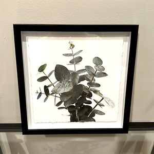 Set of (3) 10.5” square framed eucalyptus art